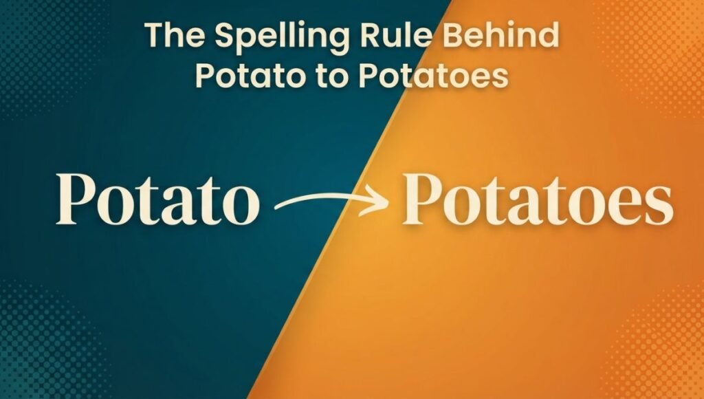 The Spelling Rule Behind Potato to Potatoes