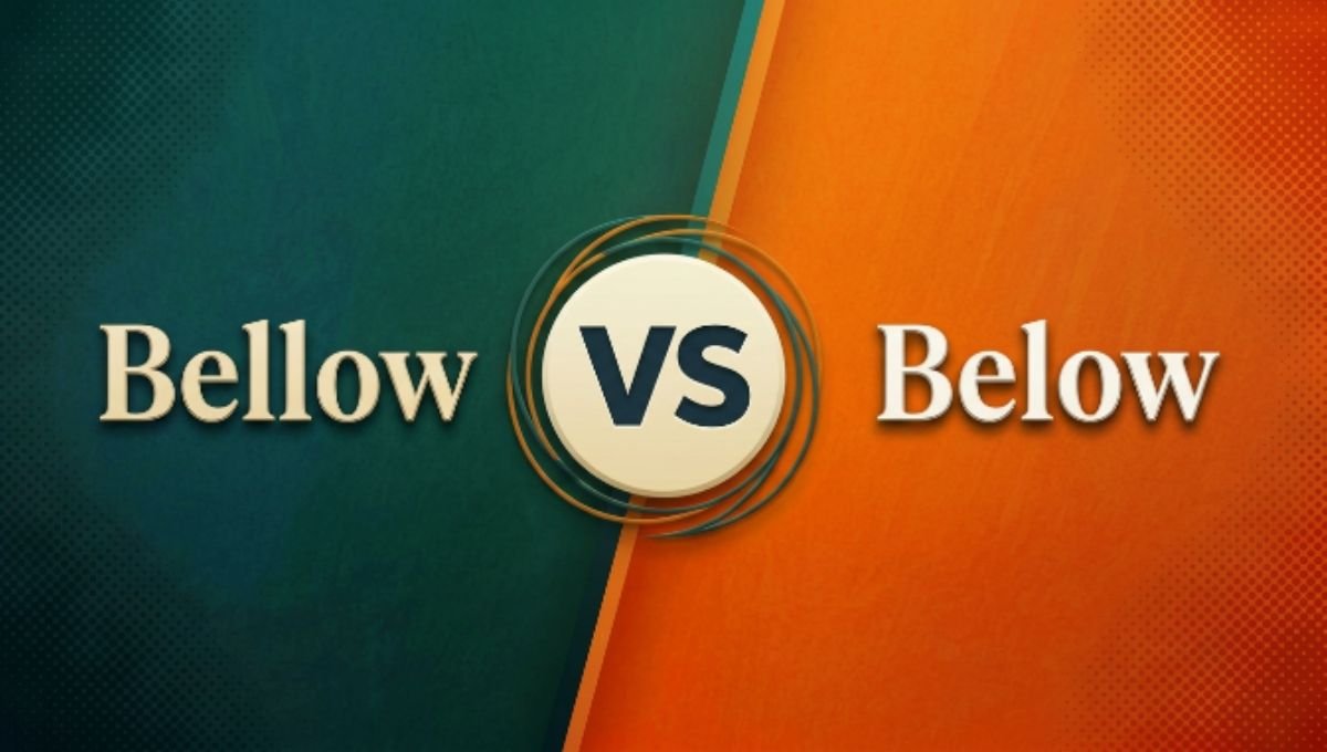Bellow or Below