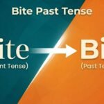 Bite Past Tense
