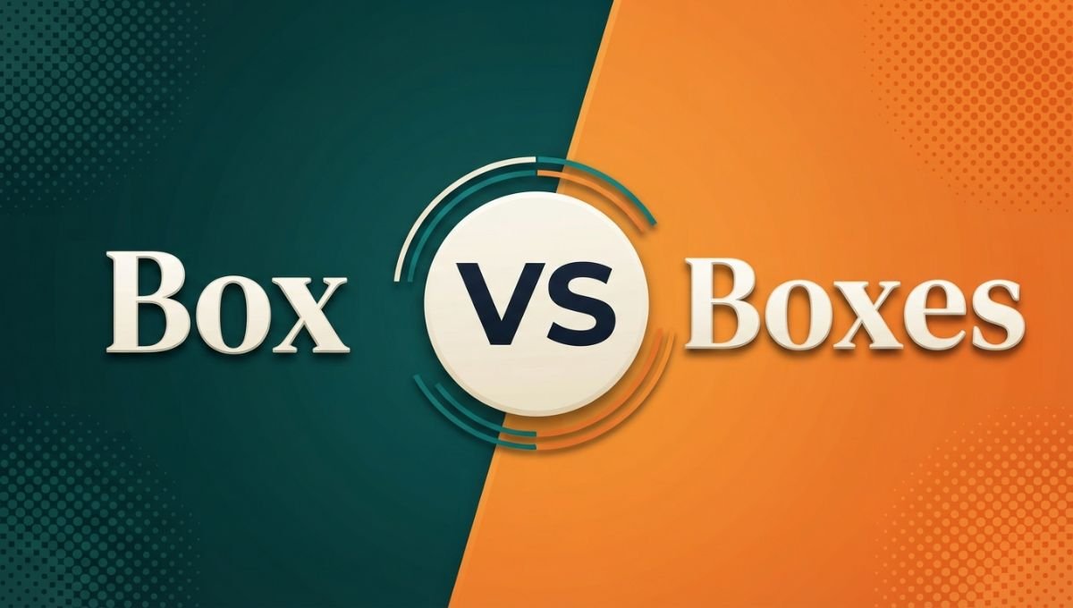 Box vs Boxes