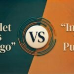 Violet vs Indigo vs Purple